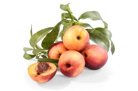 Nectarines in bulk on a white background with soft shadow Stock Photos