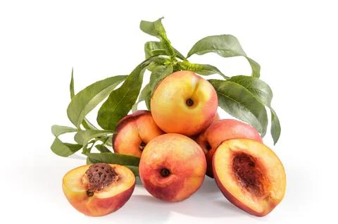 Nectarines in bulk on a white background with soft shadow Stock Photos