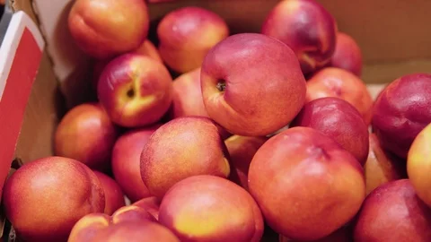 Nectarines on the counter in the supermarket Stock Footage 125521183