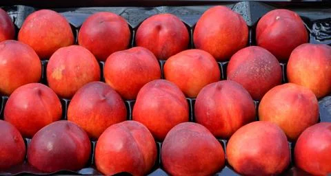 Nectarines Stock Photos