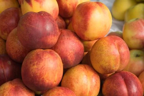 Nectarines Stock Photos