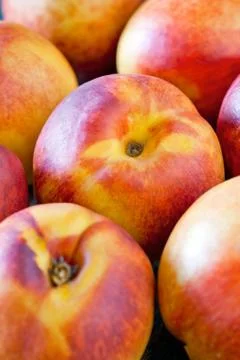 Nectarines Stock Photos