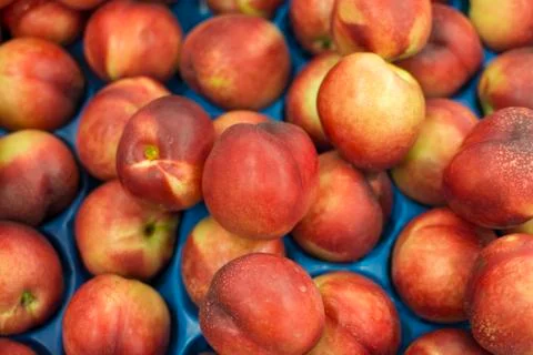 Nectarines Stock Photos