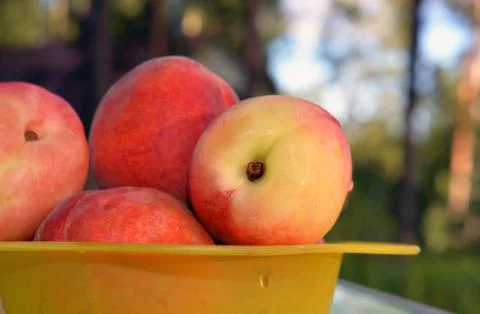 Nectarines Foto stock