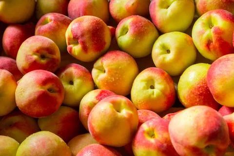 Nectarines Stock Photos