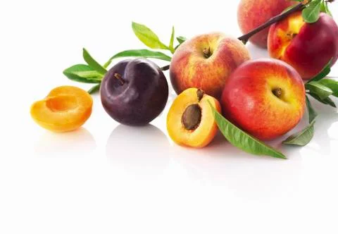 Nectarines, preaches, apricots and plums Stock Photos