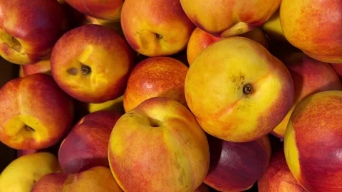 Nectarines seen from above, tracking shot of peaches Stock Footage 317463902