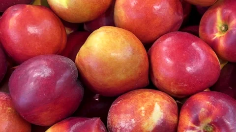 Nectarines in view from above Stock Footage 277726229