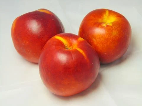 Nectarines on white background. Stock Photos