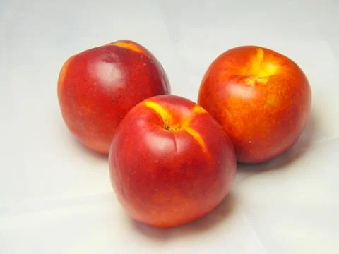 Nectarines on white background. Stock Photos