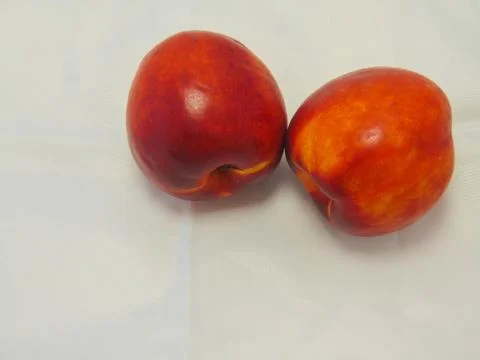 Nectarines on white background. Stock Photos