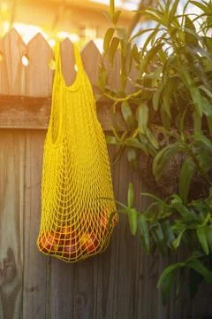 Nectarines in yellow string bag Stock Photos
