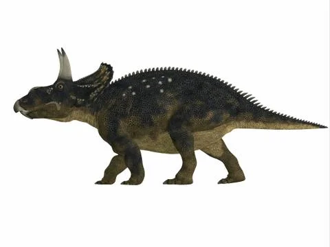 Nedoceratops Side Profile Stock Illustration