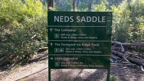 Neds Saddle Signage Vídeos de archivo 331898099