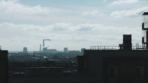 NEED EDIT Closeup of the dog muzzle Stock Footage 68409562