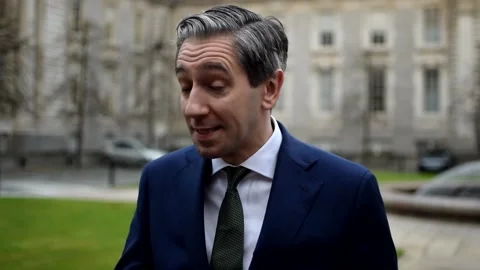 Need for ‘maturity’ in EU-US talks on tariffs, Harris says Video stock 305747520