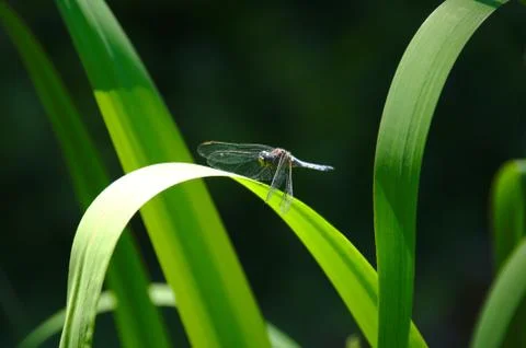 Need some warming sun rays Stock Photos