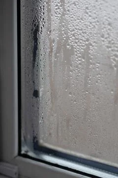 Need to Ventilate Rooms and Control Humidity to Prevent Mold and Fungi Growth Stock Photos