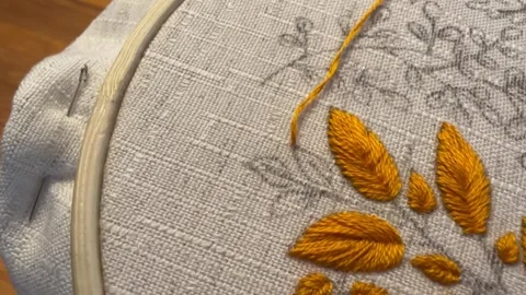 Needle and Thread Close-Up: DIY Embroidery Tutorial, first stitch of the element Stock Footage 319498514