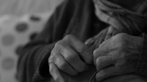 Needle and thread Stock Footage 256242904