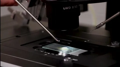 Needle being placed under microscope 스톡 동영상 315761438