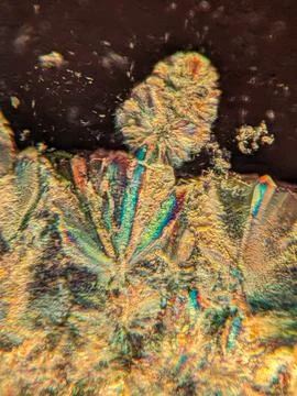 Needle-like crystals under polarized microscope showing vivid birefringence 스톡 사진