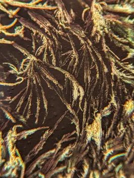 Needle-like crystals under polarized microscope showing vivid birefringence Stock Photos