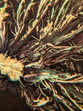 Needle-like crystals under polarized microscope showing vivid birefringence 스톡 사진