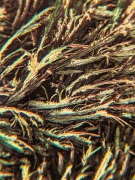 Needle-like crystals under polarized microscope showing vivid birefringence 스톡 사진