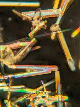 Needle-like crystals under polarized microscope showing vivid birefringence 스톡 사진