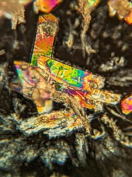 Needle-like crystals under polarized microscope showing vivid birefringence 스톡 사진