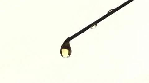 Needle 스톡 동영상 21481493