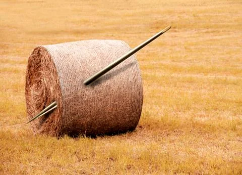 Needle in a haystack, conceptual artwork Stock Illustration