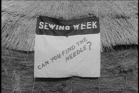 Needle in a Haystack Contest - 1950s archival footage Stock Footage 237413950