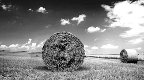 Needle in a Haystack Video stock 35595533