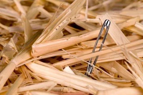 Needle in haystack Stock Photos