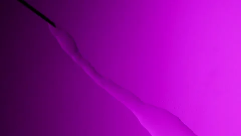 Needle injects liquid on purple gradient background 動画素材 303061157