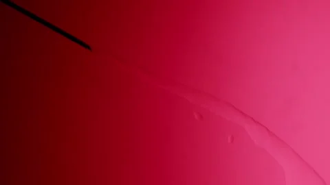 Needle injects liquid on a red gradient background Видео 303060395