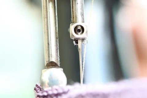 Needle Stock Photos