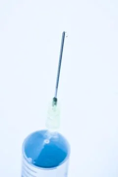 Needle Stock Photos