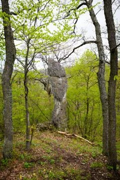 Needle rock formation Stock Photos