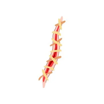 Needle suture cartoon vector illustration Illustrazione stock