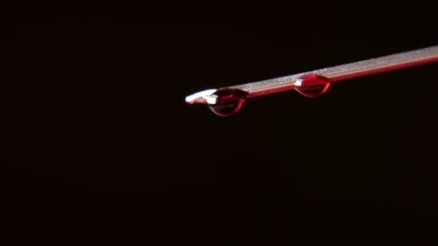 Needle from a syringe macro Stock Footage 75826506