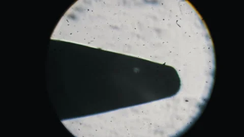 Needle Tip Silhouette in Microscope View Stock Footage 320354039