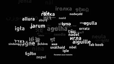 Needle Translated in 70 Worldwide Languages Endless Looping 3d Zooming Wordcl Stock Footage 145200587