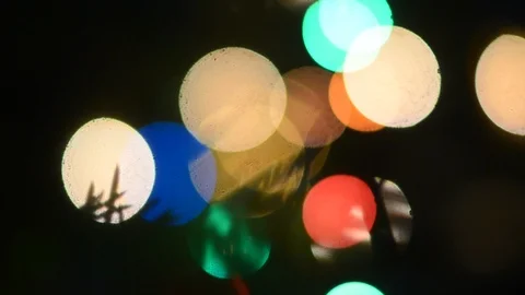 Needles on the branches of a spruce tree move in the wind. Stock Footage 120146165