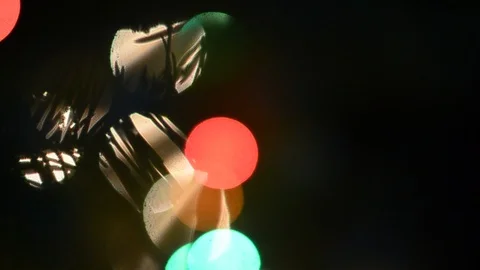 Needles on the branches of a spruce tree move in the wind against the blurred. Stock Footage 120146180