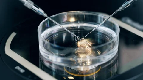 Needles of a microscopic tool during research. IVF, extracorporal fertilization Stock Footage 119253094