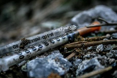 Needles Stock Photos