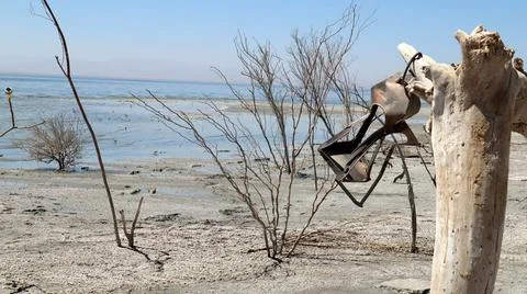 Needs a Lightbulb Stockfoto's